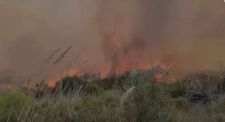 Zjarri në Fier vijon të riaktivizohet për shkak të erës së fortë, ja si paraqitet situata në terren