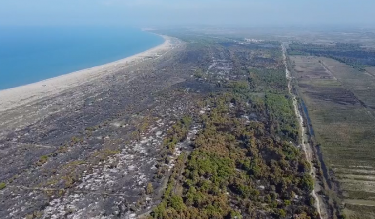 Nëntë ditë “nën pushtetin” e flakëve, çfarë ka mbetur pas zjarrit në masivin pyjor Pishporo-Darëzezë