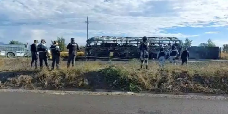 Autobusi përplaset, 19 të vdekur (VIDEO)